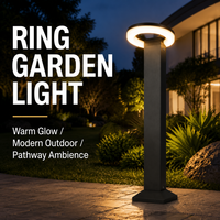 Lampe de jardin LED en forme d'anneau, lumière chaude, éclairage d'ambiance moderne pour allée, cour, pelouse
