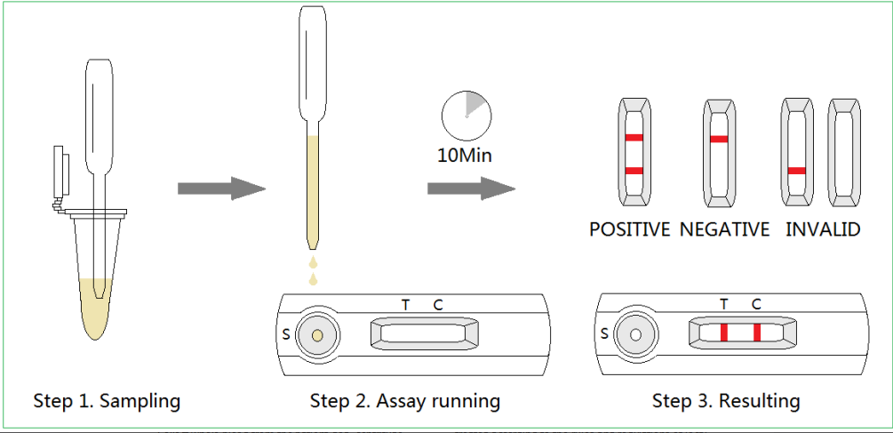 Prueba rápida de combinación de CPV Ag + CCV Ag + Giardia Ag profesional