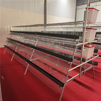 Offre Spéciale 128 oiseaux cages à 4 couches oeufs poulet volaille ferme