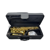 SEASOUND OEM High Quality Cheap Gold Alto Saxophone JYAS102
