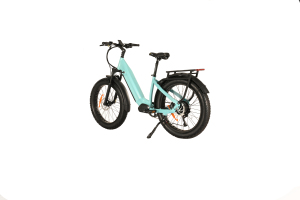 Moteur de moyeu arrière pour vélo électrique à pneus larges avec cadre bas et pneus de 26 pouces - Product Image 6
