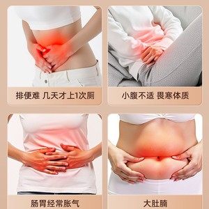 Masajeador Abdominal Bianstone Recargable con Terapia de Calor por Vibración para Alivio del Estómago y Cuidado Adelgazante del Vientre - Product Image 3