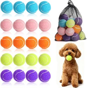 Jouet interactif en peluche écologique pour chien, 5 cm, style dessin animé, petit jouet pour animaux de compagnie, pour chats et chiens, fabriqué dans des usines chinoises - Product Image 1