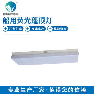 Lámpara de Techo Fluorescente LED CLQM2216 de Venta Directa de Fábrica, IP66/IP65, para Aplicaciones en Almacenes, Residencias y Oficinas - Product Image 3