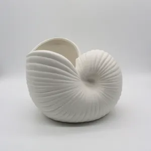 Creative Shell Conch Flowers Vase Home White Ceramic