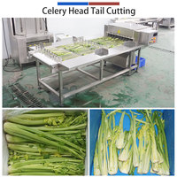 Cortadora Industrial Continua de Verduras de Hoja (Acelga, Repollo) de 3-5T/H con Cuchilla de Rodillo, Tamaño Personalizable, Motor SUS304