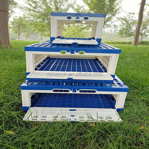 TUOYUN Usine <span class=keywords><strong>Vente</strong></span> Directe De Transport Pour Cage Durable Pour Voyage Pigeon Box - Product Image 4