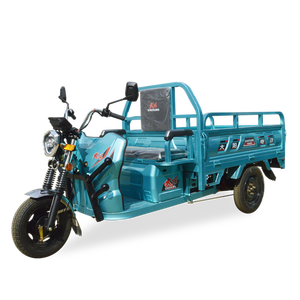 Vente en gros de tricycles électriques de 1000 W, trikes électriques, vélos électriques à 3 roues pour adultes - Product Image 2