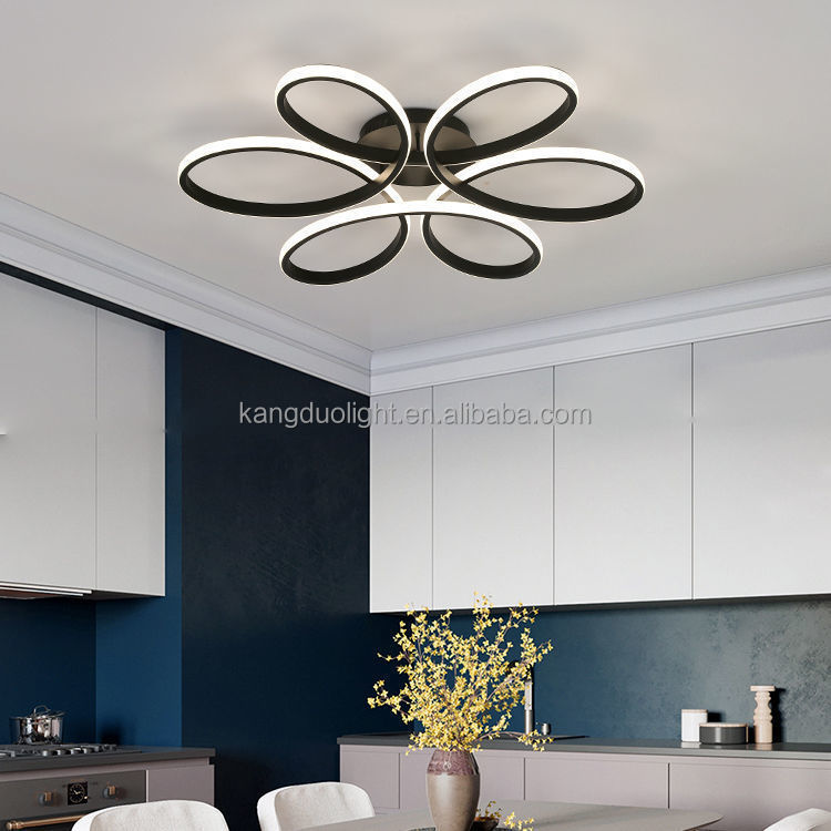 Steel LED Ceiling Lamp Nordic Lighting Modern Design for Living Room Bedroom Dining Room & Hallway