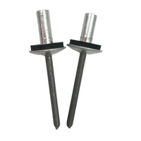 Rivets aveugles étanches personnalisés à extrémité fermée, tête plate avec rondelle EPM scellée en caoutchouc, aluminium, rivets scellés 3/16