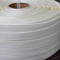 Cinta de Flejado PET de 32 mm, Alta Calidad, Superficie Lisa Blanca, Certificación ISO9001, Tejida con Cordón, Duradera y de Alta Tenacidad para Embalaje Manual