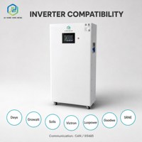 Système de stockage d'énergie domestique mural à batterie solaire LiFePO4 48V 280Ah 15kWh avec BMS pour alimentation de secours hors réseau 51.2V