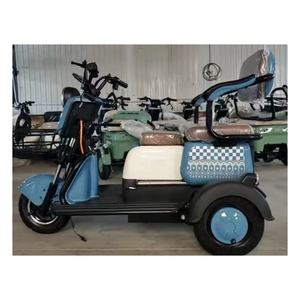 Triciclo Eléctrico de Tres Ruedas de Alta Calidad y Bajo Precio, Bicicleta Eléctrica de 3 Ruedas para Adultos, 48V 60V 800W, para Familias - Product Image 6