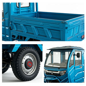 Usine En Vente Chaude Tricycle Electrique De Cargaison a Energie Verte a Cabine Fermee Pour Usage Domestique Robuste - Product Image 3