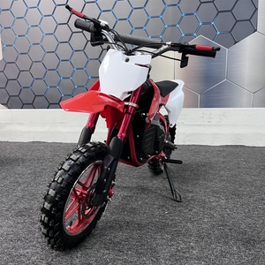 Quad elettrico per bambini 36V500W a due ruote per uso transfrontaliero europeo - Product Image 3
