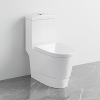 WC chinois monobloc à double chasse, moderne, en céramique, à siphon, avec évacuation en S pour usage hôtelier
