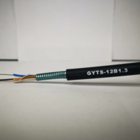 Câble à fibres optiques blindé léger GYTS 2-144 cœurs pour applications de communication extérieures, conforme à la norme ITU-T G.652D