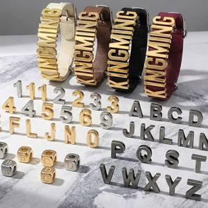 Abalorios de Lujo para Collares con Letras del Alfabeto, Cuentas Metálicas Removibles y Accesorios Numéricos para Mascotas - Venta al por Mayor - Product Image 1