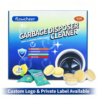 Tablette de nettoyage écologique et désodorisante pour broyeur de déchets, parfum citron/orange personnalisé