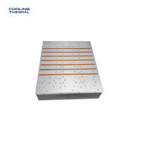 Refroidisseur d'air haute puissance personnalisé Laige, dissipateur thermique à eau, plaque de refroidissement en aluminium avec tubes en cuivre