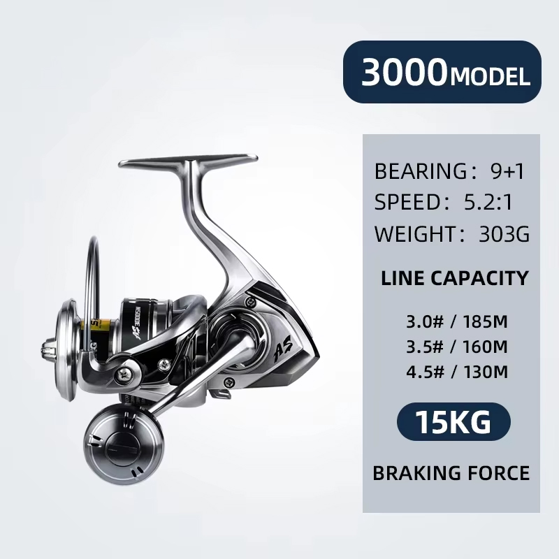 3000