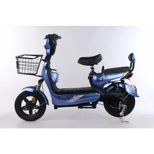 Vélo électrique de chine 350W, 48V/60V, alimenté par batterie au plomb, 2022 Offre Spéciale, vélo électrique, prix de gros