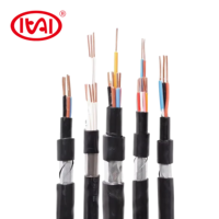 Kabel Kontrol Instrumentasi Berpelindung Aluminium XLPE Konduktor Tembaga 2x2x2.5mm Harga Pabrik Berselubung PVC