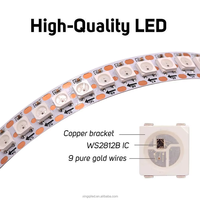 Bande lumineuse LED RVBIC adressable en gros Ws2812B Ws2811 Ws2812, barre RVB 12V, contrôleur, tube, bande lumineuse LED couleur de rêve