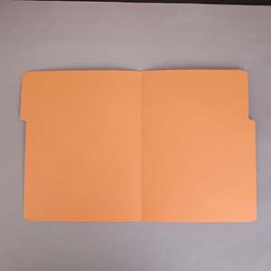 Hot Custom PP <b>Manila</b> File <b>Folder</b> Classic Office & School Document Organizer with Tabs Plastic Wholesale - Product Image 3