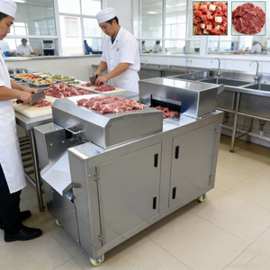 Nouvelle machine à découper la viande mini, entièrement automatique, en acier inoxydable, pour usage domestique et commercial, coupe-dés soigné - Product Image 1