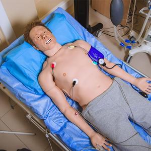 Mannequin de simulation pour adultes Leonardo pour ponction guidée par échographie, cathétérisme veineux central et artériel, et ponction lombaire - Product Image 2