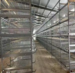 Offre Spéciale : Système de cages galvanisées <span class=keywords><strong>à</strong></span> chaud de type H pour l'élevage de poules pondeuses, capacité 160 poulets par cage, pour ferme avicole - Product Image 1
