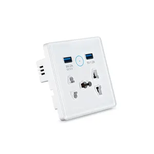 Smart Universal Inwall socket Outlet Wifi Intelligent Tuya Smart Life Matter With Rohs CE Support Voice Control