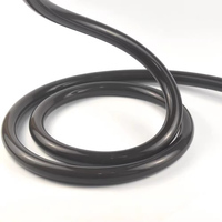 Tube diffuseur LED néon en silicone noir à 360 degrés, bande lumineuse LED circulaire 12/24V, flexible noir, pour usage hôtelier