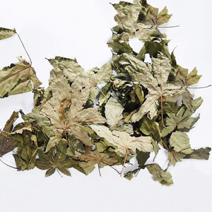 Trà Bà Bầu Hữu Cơ Khô Tự Nhiên Chất Lượng Cao Trà Thảo Dược Lá Mâm Xôi Đỏ - Product Image 3