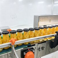 ENAK High Sale Conservenmachine voor fruit en groenten voor de productielijn van gele perzikconserven