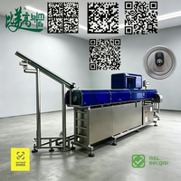 Machine de marquage laser à fibre ASL BELGISI GS1 DataMatrix pour fabricants de boissons en conserve, avec traçabilité un article-un code