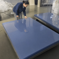 Feuilles d'emballage transparentes écologiques flexibles sur mesure de 1 mm, 1,5 mm, 2 mm d'épaisseur avec service de découpe
