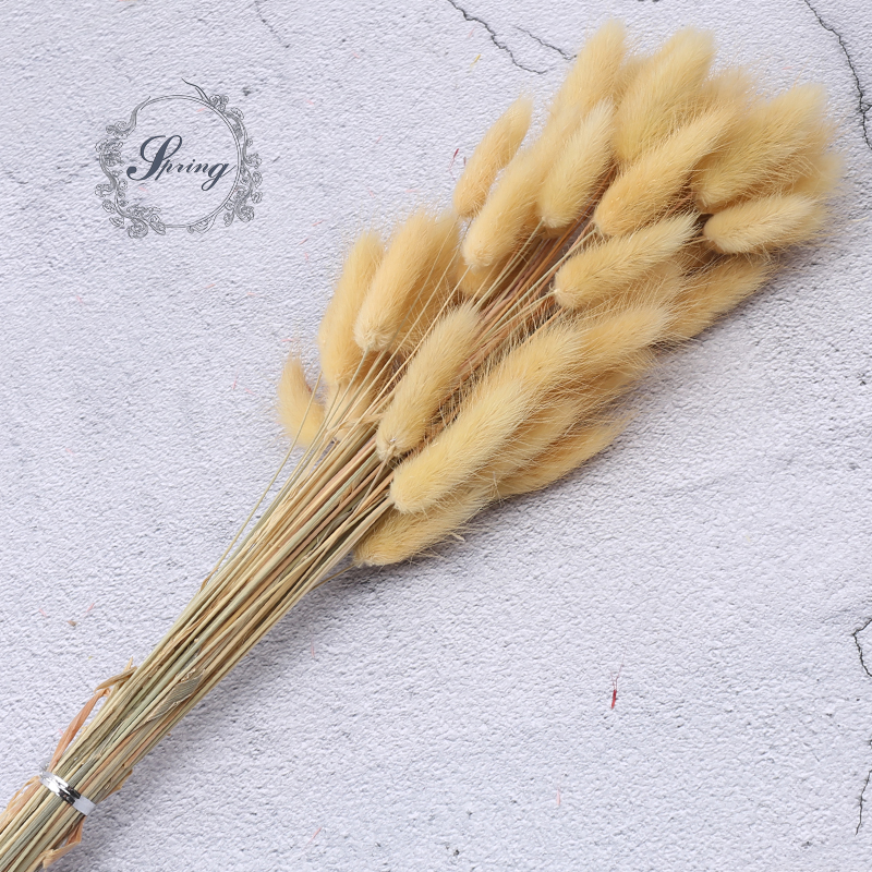 Beige jaune