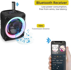 Système de microphone de karaoké dynamique sans fil UHF rechargeable à double micro avec contrôle des aigus, des basses et de l'écho - Product Image 6