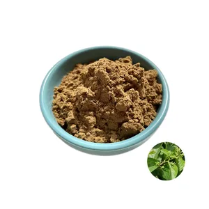 נהדר באיכות tripterygium wilfordii רעם אלוהים גפן ליי גונג טנג extract10:1