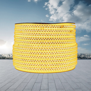 Led đầy màu sắc thông minh dải đèn không thấm nước Neon nhấp nháy đèn cho đua ngựa Home/Trần/trang trí ngoài trời chảy nước - Product Image 1