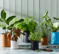 Meilleures ventes : Jardinières en porcelaine émaillée nordique colorées pour la décoration de jardin et de maison, avec trou de drainage, vente en gros