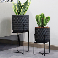 Supports de plantes en métal Supports de fleurs Supports de plantes modernes Porte-fleurs pour pot de fleurs Salon intérieur