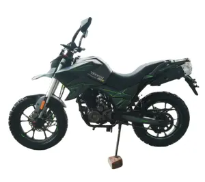 중국 125cc 200cc 250cc EEC 오토바이 FUEGO TEKKEN250 FUEGO 오토바이 저렴한 판매 1119014