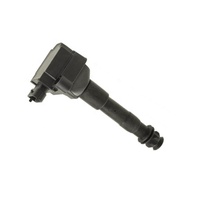 High Quality Auto Spare Parts Engine Systems Ignition Coils OEM 99660210400 for Porsche