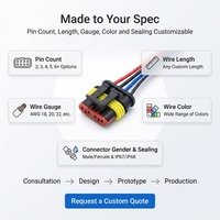 Conector Eléctrico Automotriz Sellado Impermeable Macho Hembra de 1, 2, 3, 4, 5, 6 Pines, Arnés de Cables, Conjunto de Cableado