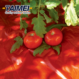 Film de paillis en plastique biodégradable <span class=keywords><strong>pour</strong></span> culture agricole, couverture de paillis rouge <span class=keywords><strong>pour</strong></span> fraise et tomate - Product Image 5