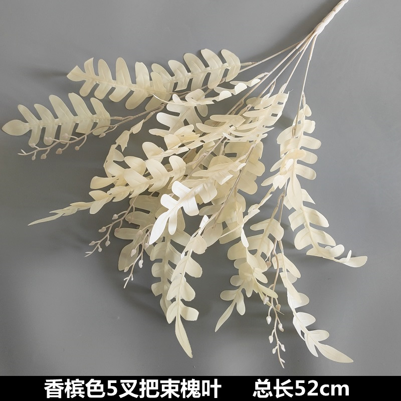 ใบต้นคาโมมายล์ห้าช่อแบบแยกกิ่ง