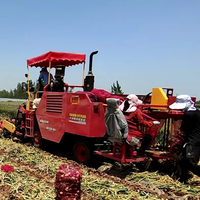 Machine de récolte multifonctionnelle haute performance Maria pour l'ail, le manioc, les arachides, les oignons et les pommes de terre – Achat en gros